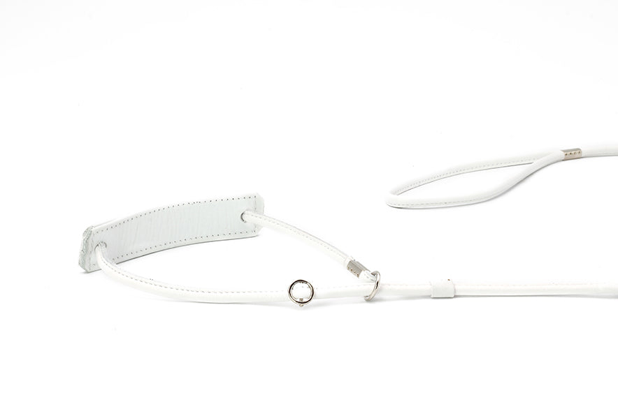 "Fein verstellbares, weißes Hundehalsband aus Leder mit schlichter Schnalle und Metallplakette auf weißem Hintergrund."