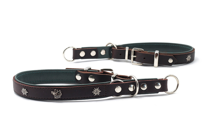Halsband Zugstopp in Dunkelbraun mit grüner Innenseite und Metallnieten, ideal für Hunde, verstellbar und mit Karabinerhaken.
