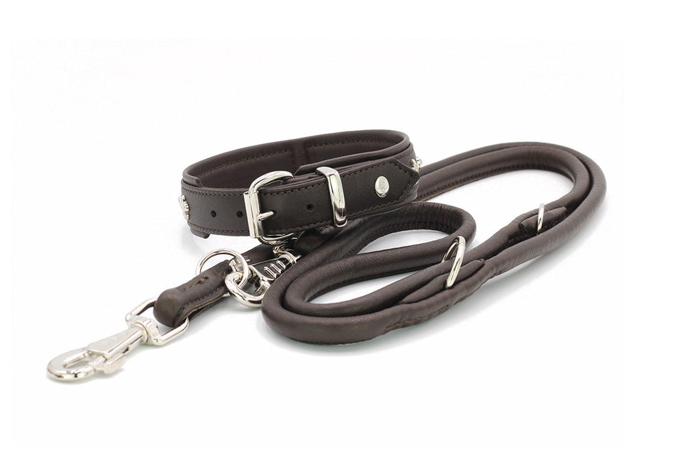 Dunkelbraunes Hunde-Halsband mit metallischen Schnallen und verzierter Leine in eleganter, doppelter Form.