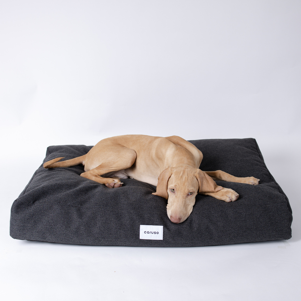 Beige Hund entspannt auf einem großen, dunkelgrauen, schlichten Hundebett. Ideal für gemütliche Schlafstunden.