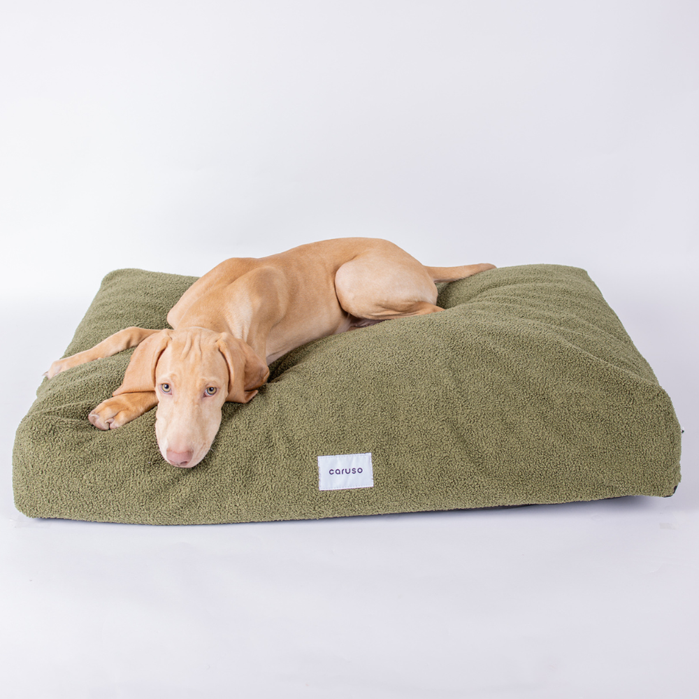 Großes olivgrünes Hundebett mit strukturierter Oberfläche und braunem Hund, der entspannt darauf liegt.