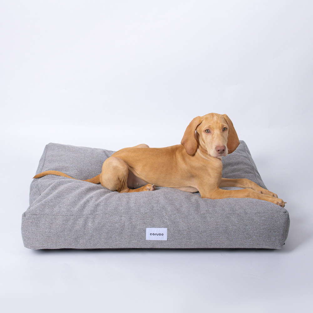 Entspannter Hund auf grauem, schlicht gepolstertem Hundebett mit neutralem Bezug.
