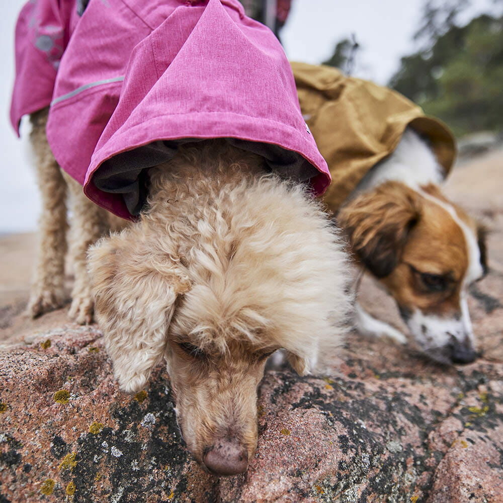 Regenmantel Monsoon Coat II ECO – zusätzliche Produktansicht 3