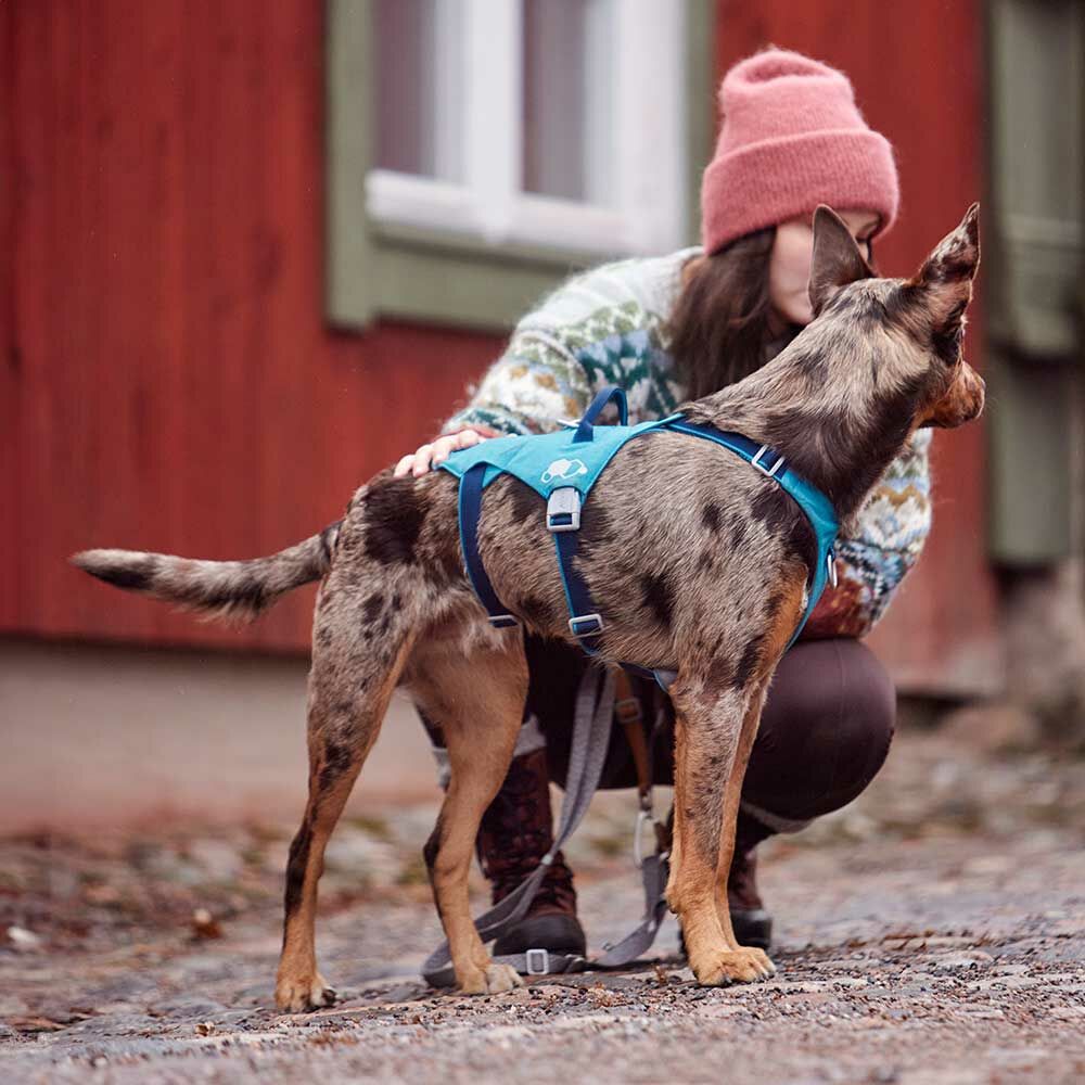 Hundegeschirr Safeguard Harness ECO – zusätzliche Produktansicht 10