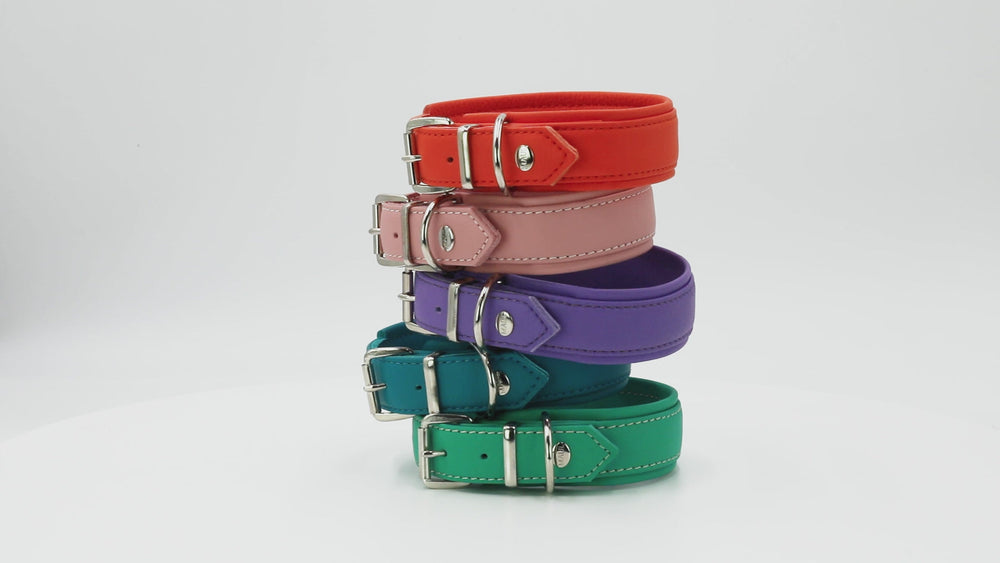 Halsband Klassik Soft Holi Color: Vier farbige Hundehalsbänder in Rot, Rosa, Lila und Grün mit metallenen Schnallen.