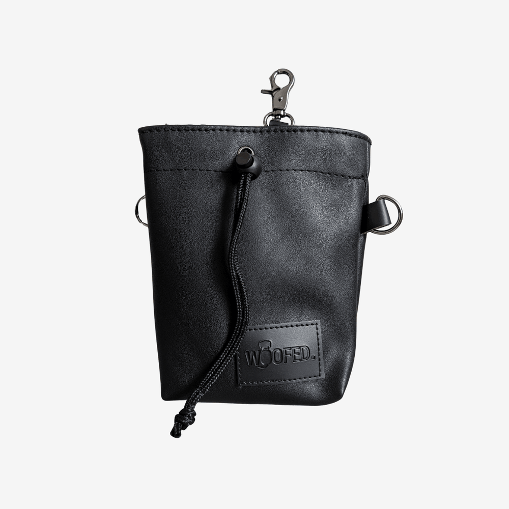 Leckerlibeutel aus veganem Kunstleder in Schwarz mit Kordelzug und Karabiner für Hundeleckerlis und Snacks.