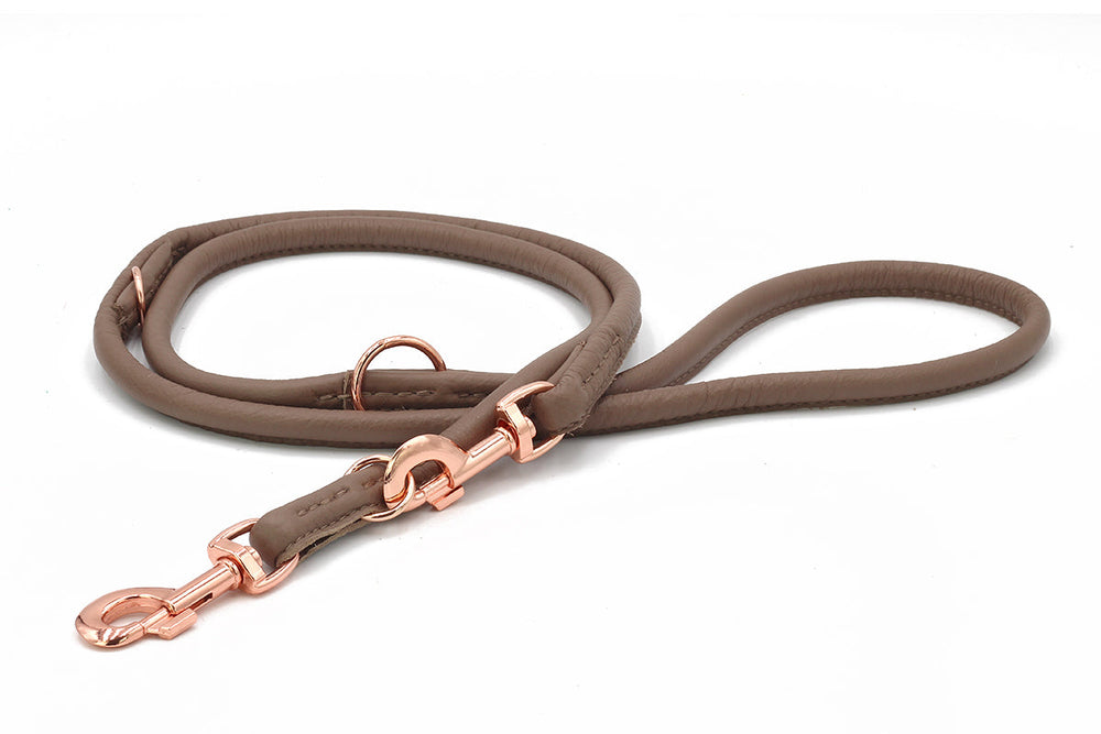Braune Lederleine mit goldfarbenem Karabiner und Rind zur Befestigung für Haustiere. Schmal und schlaufenförmig gestaltet.