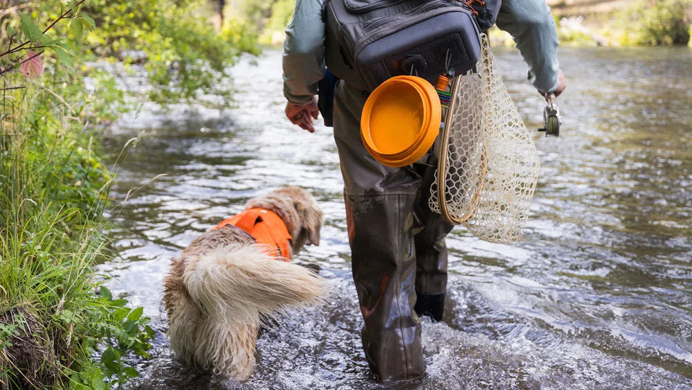 Person mit Hund in Wathosen an flachem Gewässer, orangefarbene Hundeweste, ideal für Outdoor-Aktivitäten mit Bivy™ Hundenapf.