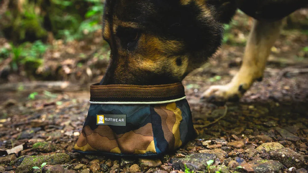 Hund schnüffelt an faltbarem, kamouflierte Futterbeutel von Ruffwear in natürlicher Umgebung. Ideal für unterwegs!