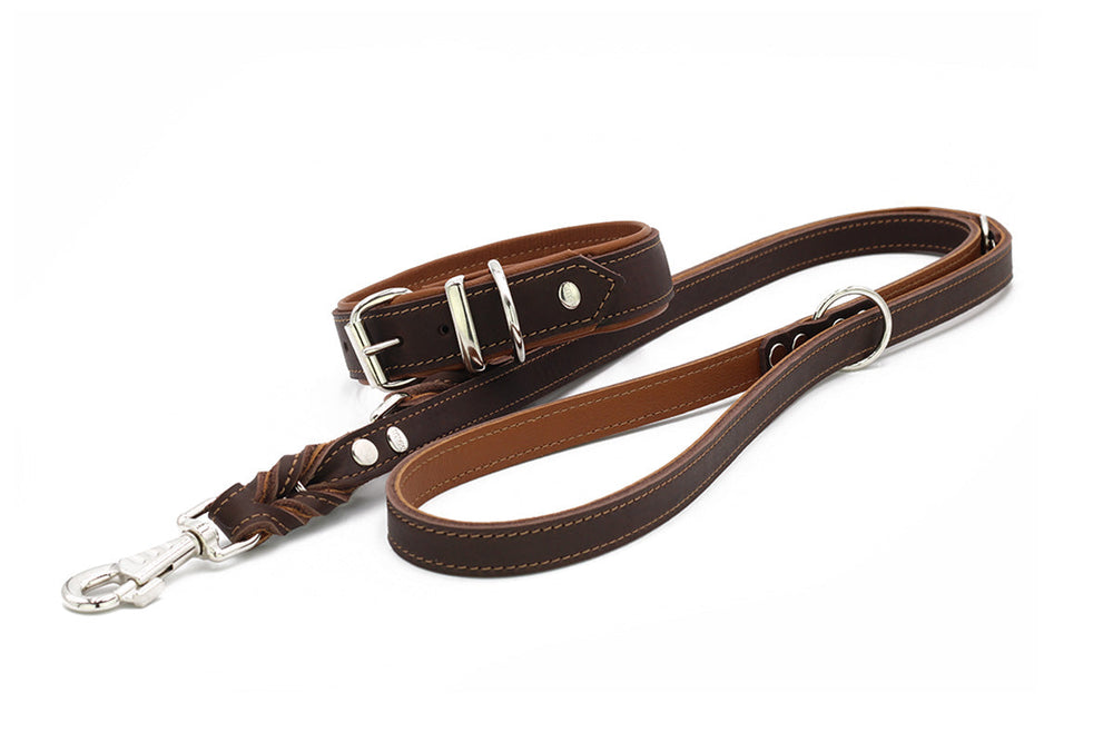 Braune Leder-Hunde-Leine mit eleganten genähten Kanten und silbernen Beschlägen, ausgestattet mit Karabinerhaken.