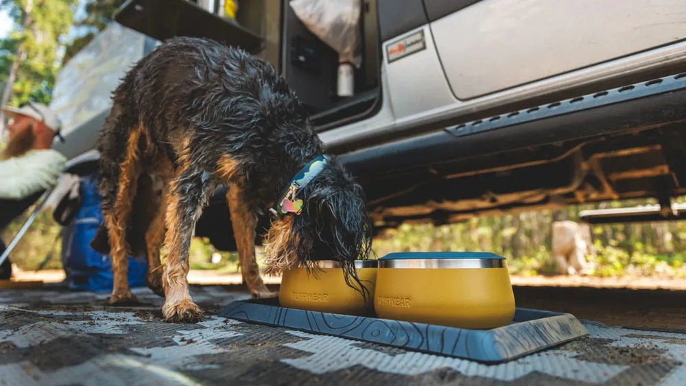 „Nasser Hund mit schwarzem Lockenfell steht neben Futterschüsseln auf der Basecamp™ Dog Bowl Mat.“