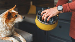 Basecamp™ Slow Feeder