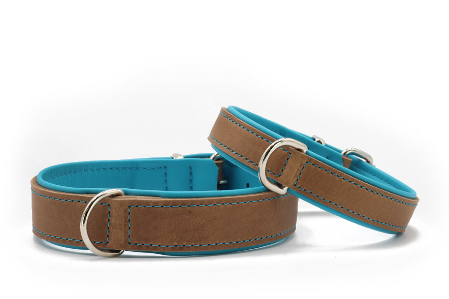 Zwei elegante Hundehalsbänder: eines in samtigem Braun mit blauen Akzenten, das andere kräftig blau mit silbernen Schnallen.