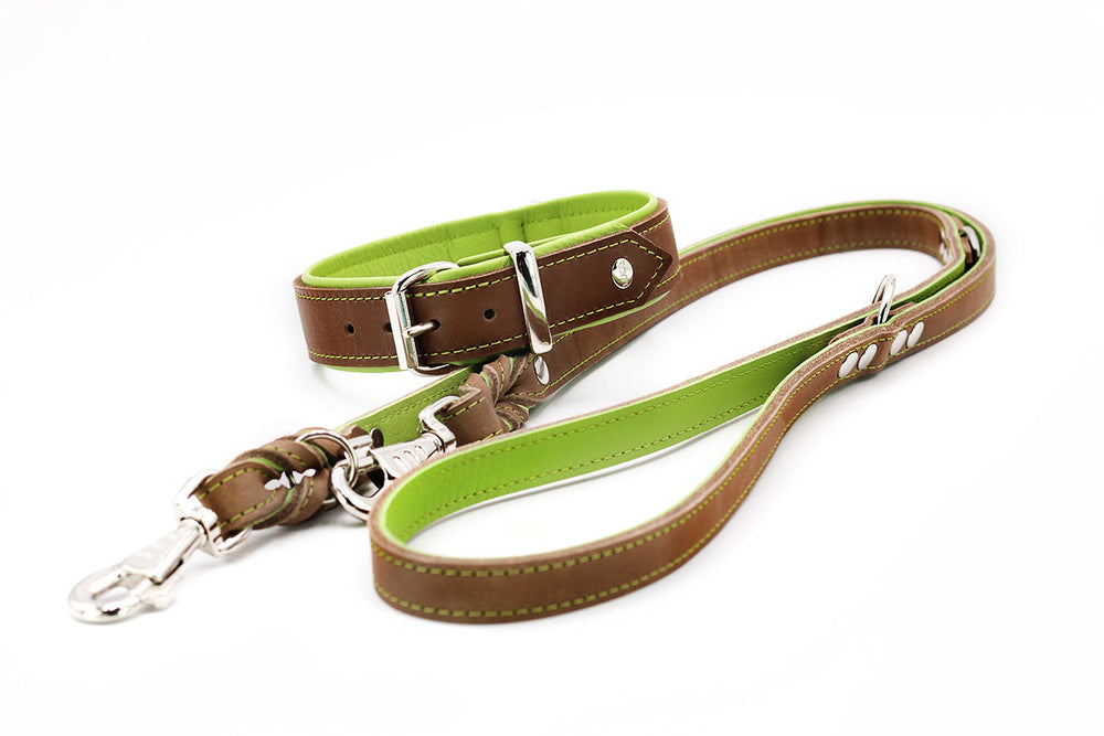 Braunes Hundehalsband und Hundeleine mit grüner Innenseite und glänzenden Metallelementen, ideal für stilvolle Hunde.