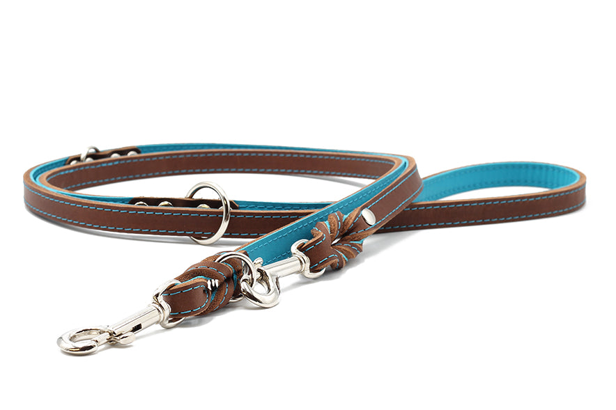 Hochwertige braune Lederleine für Hunde mit blauen Akzenten und stabilen Karabinerhaken, 2m lang.