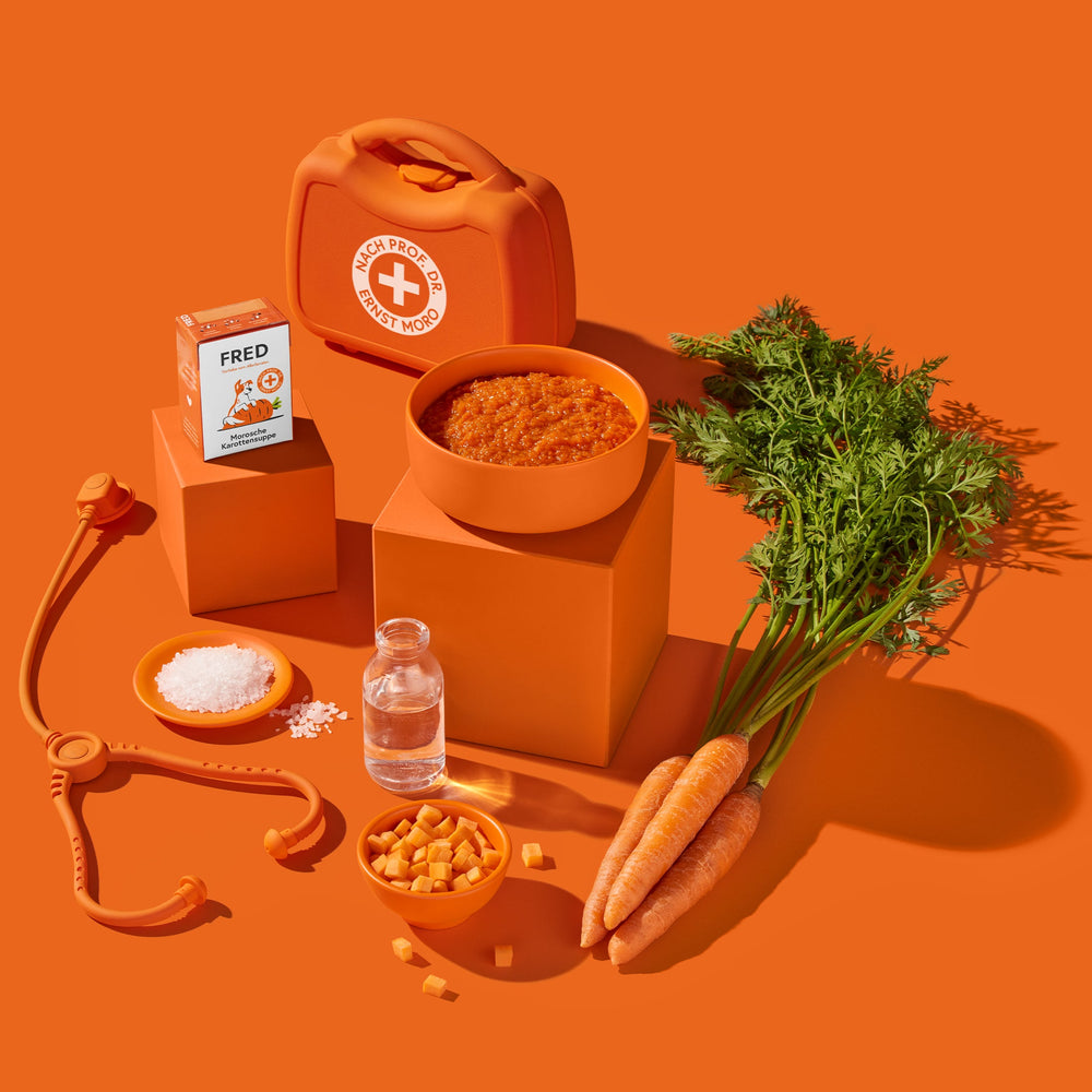 FRED Morosche Karottensuppe 2er Set, traditionelle Unterstützung bei Durchfall, abgebildet mit frischen Karotten und Zutaten.