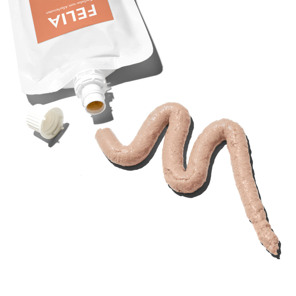 FELIA Lieblingscreme Lachs für Katzen im 10er Set, cremiger Snack mit intensivem Lachs-Geschmack in praktischer Tube.