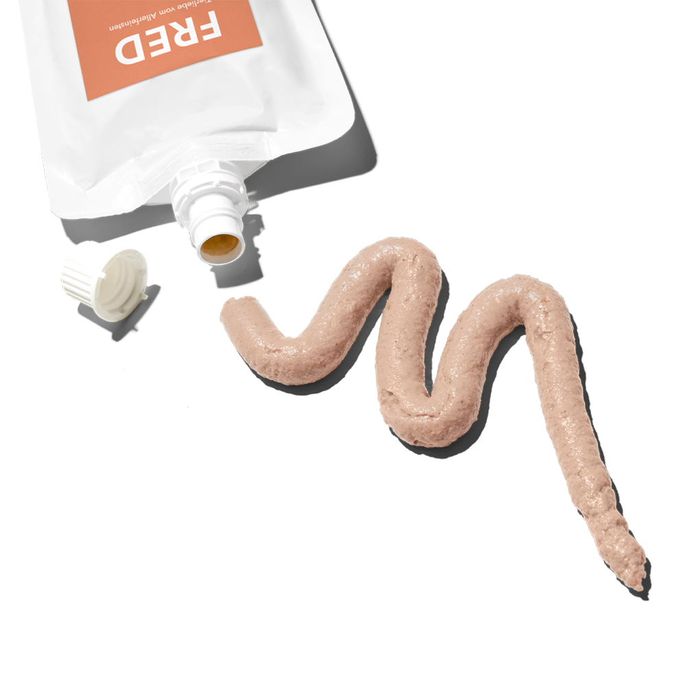 FRED Lieblingscreme Lachs 10er Set für Hunde, cremiger Snack mit intensivem Lachsgeschmack in handlicher Tube.