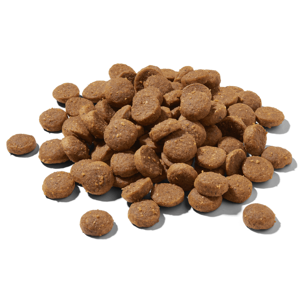 FRED Premium Trockenfutter JUNIOR Lamm, getreidefreies Futter für junge Hunde, gesunde Kroketten für optimale Verdauung.