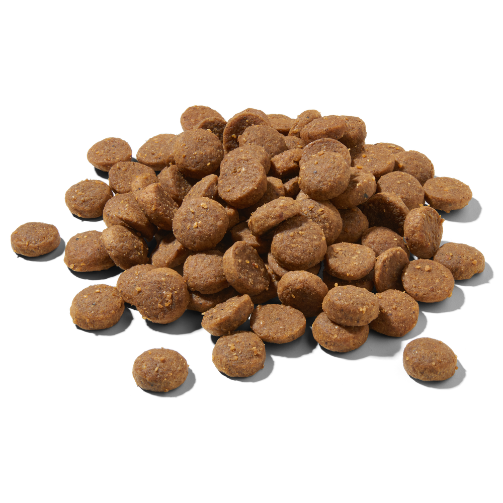 FRED Premium Trockenfutter JUNIOR Lamm, getreidefreies Futter für junge Hunde, gesunde Kroketten für optimale Verdauung.