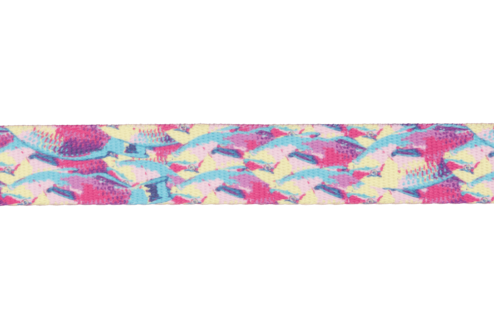Buntes Front Range™ Hundehalsband mit lebhaftem Fischmuster in Pink, Blau und Gelb für stilvolle Hunde.