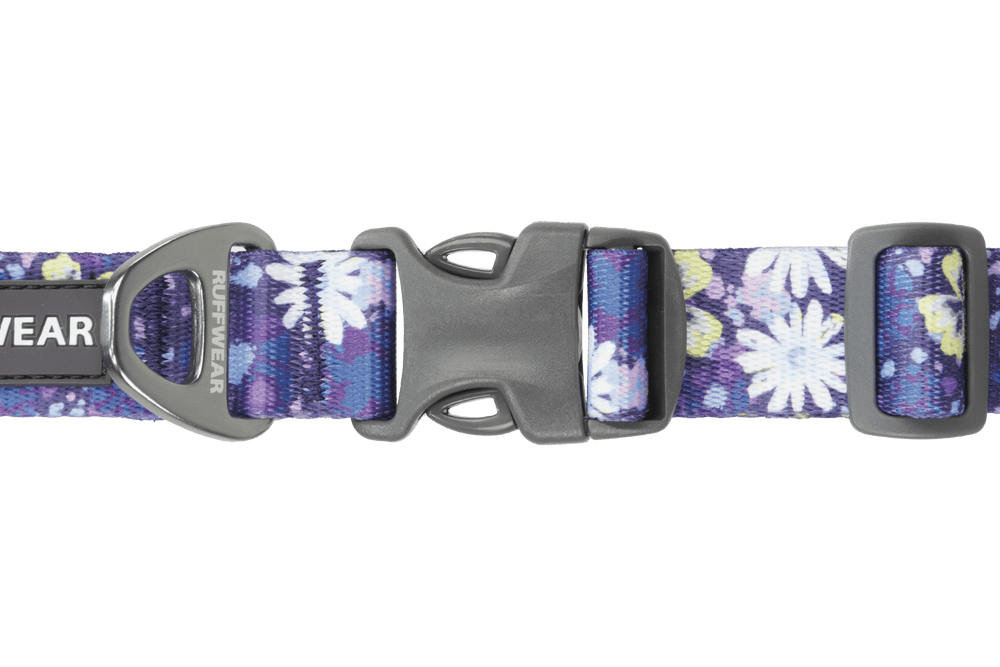 Buntes Front Range™ Hundehalsband mit Blumenmuster in Blau- und Lilatönen, stabiler Kunststoffverschluss und Metallschnalle.