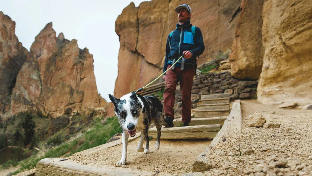 Mann führt Hund an einer Leine auf Holztreppe in felsiger Landschaft mit hohen Felsen im Hintergrund.