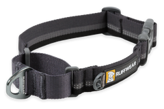 Web Reaction™ Martingal Hundehalsband