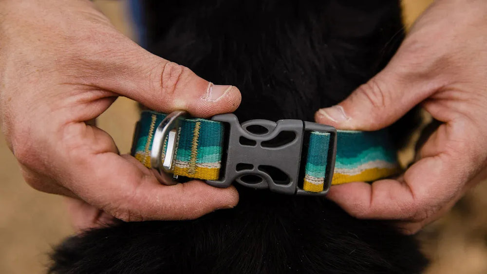 Reflektierendes Crag™ Hundehalsband in buntem Design, mit Fokus auf dem grauen Verschluss und dem Anlegen durch eine Person.
