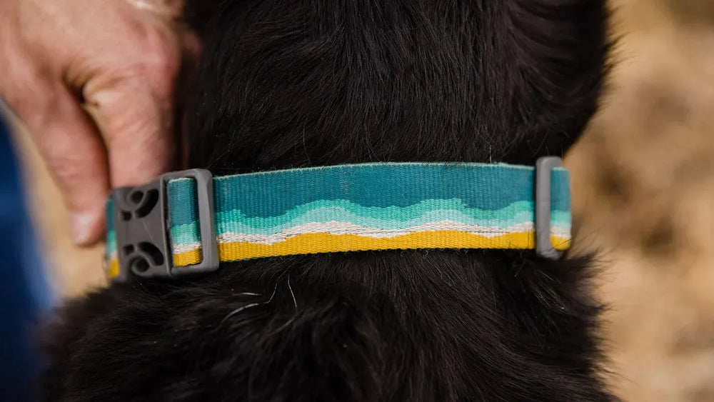 "Crag™ reflektierendes Hundehalsband in bunten Blau-, Grün- und Gelbtönen, strapazierfähig mit schnappbarem Verschluss."
