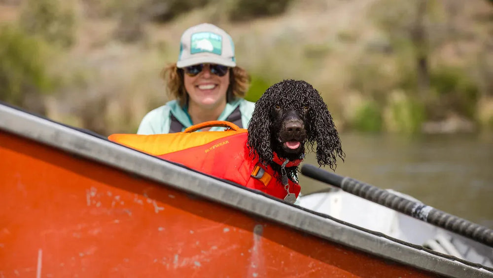 Person mit Hund im Boot, Hund trägt orangefarbene Schwimmweste, Wasserdichtes Confluence™ Hundehalsband sichtbar.