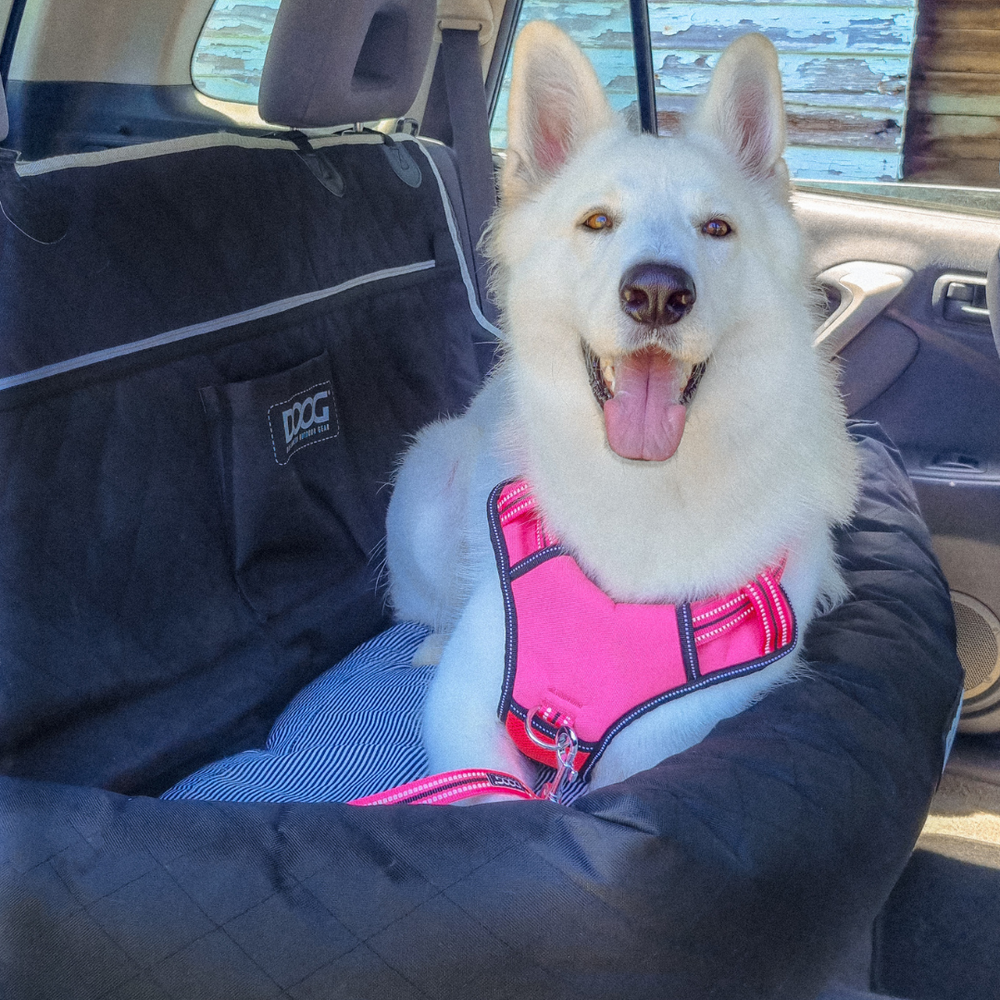 Hund im Autositz mit pinkem Geschirr, sicher und bequem in einer Schutzhülle unterwegs.