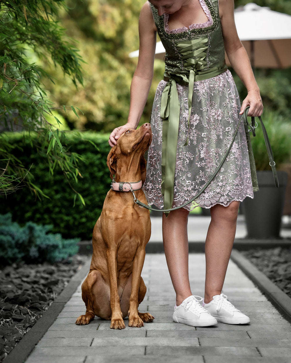 Frau im Dirndl streichelt braunen Hund mit Halsband auf grünem Gehweg, umgeben von Pflanzen.