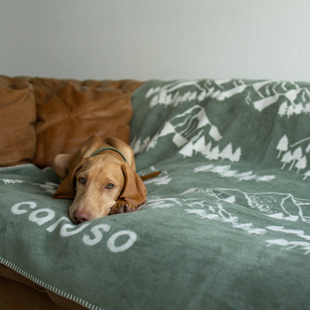 Entspannter hellbrauner Hund auf braunem Ledersofa mit grüner Decke mit Berg- und Tiermotiven.