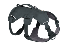 Web Master™ Dog Harness with Handle