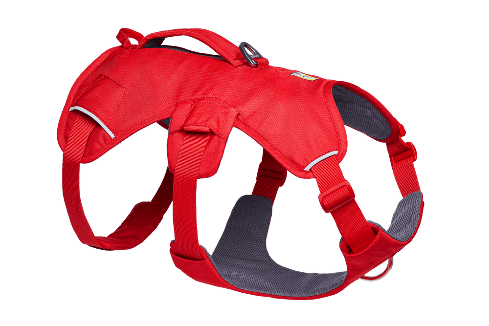Rotes Web Master™ Hundegeschirr mit verstellbaren Riemen, gepolsterter Innenseite und praktischen Haltegriff.