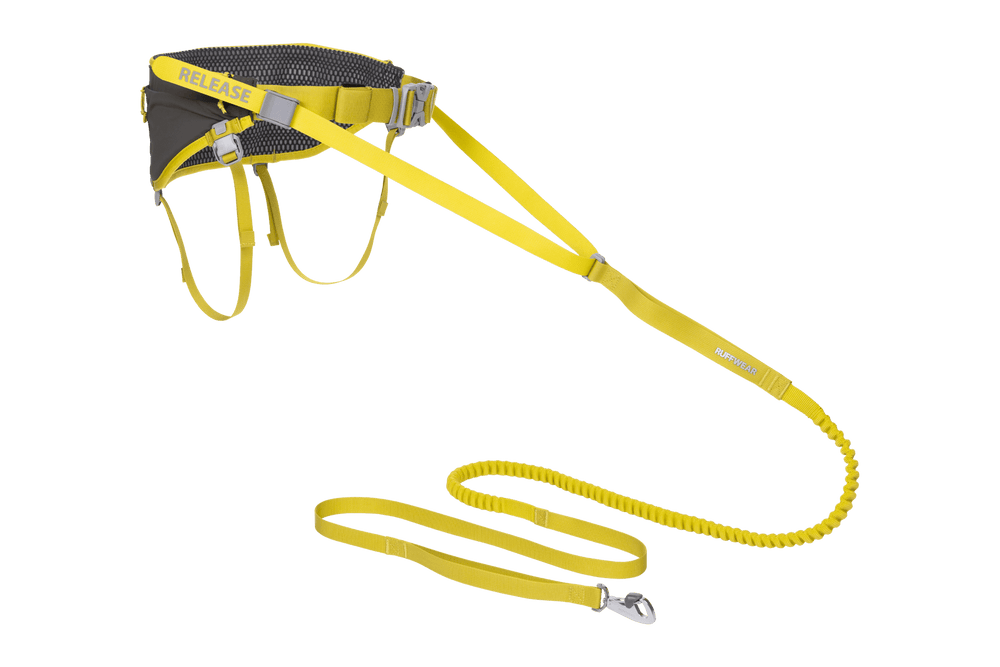 Gelbes Hundegeschirr Omnijore™ mit elastischem Sicherheitsband für Outdoor-Sport, vielseitig anpassbar und sicher.