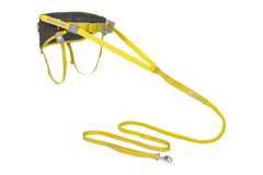 Omnijore™ Dog Joring System