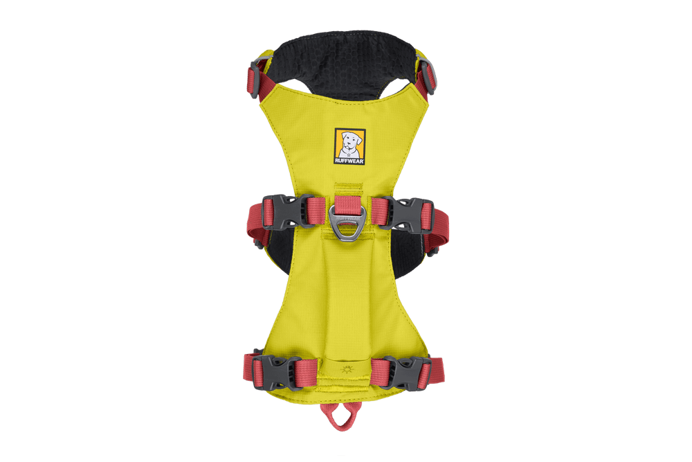 Ergonomisches gelbes Hundegeschirr mit roten Gurten und Schnallen für optimalen Komfort und Sicherheit beim Spazierengehen.