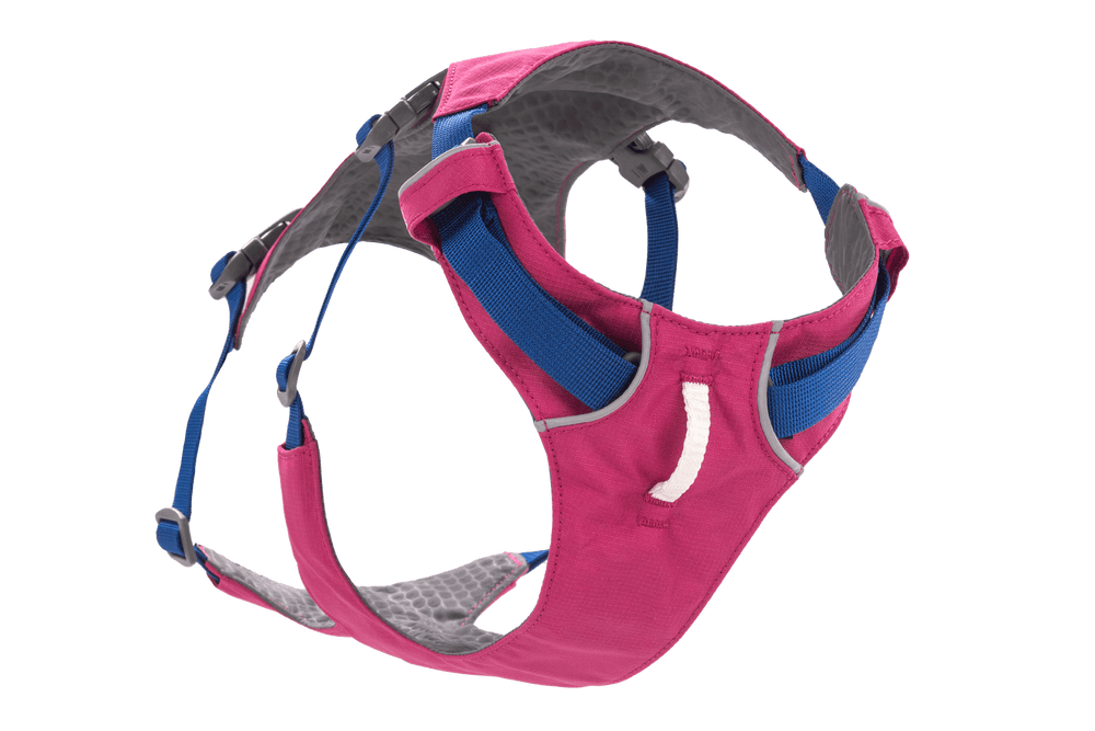 Farbenfrohes Flagline™ Hundegeschirr in Pink und Blau mit gepolsterten Bereichen und verstellbaren Riemen für optimalen Komfort.