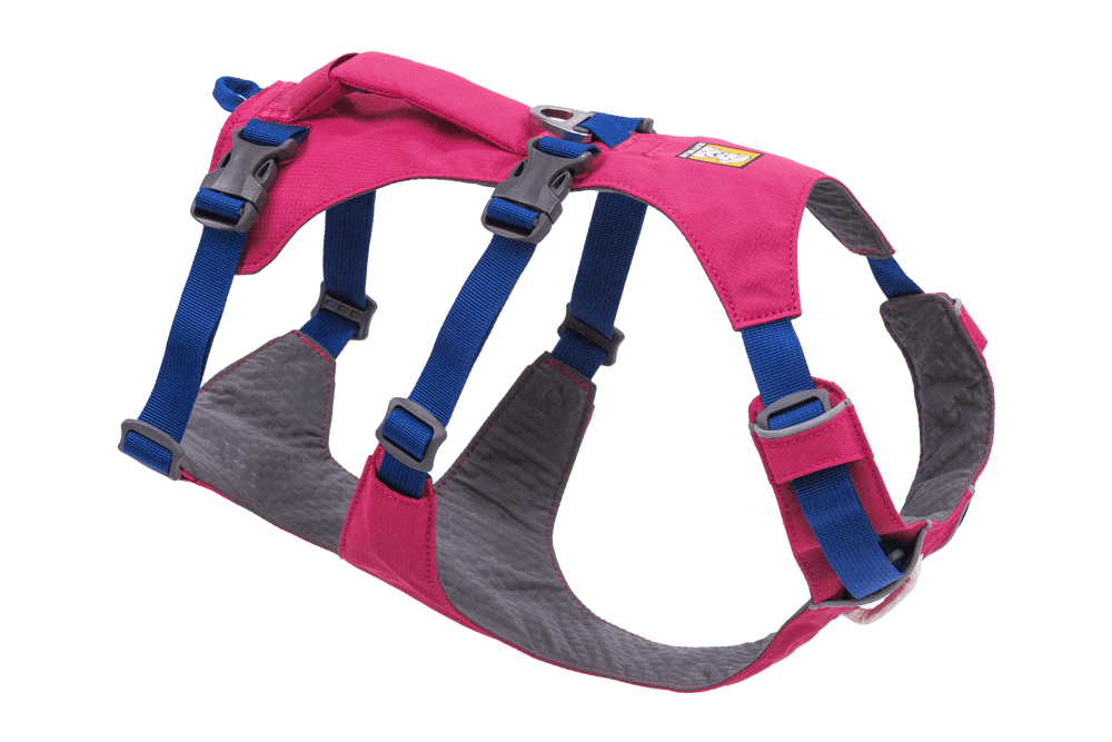 Pinkes Hundegeschirr mit verstellbaren blauen Riemen und grauer Polsterung für optimalen Komfort und Anpassung.