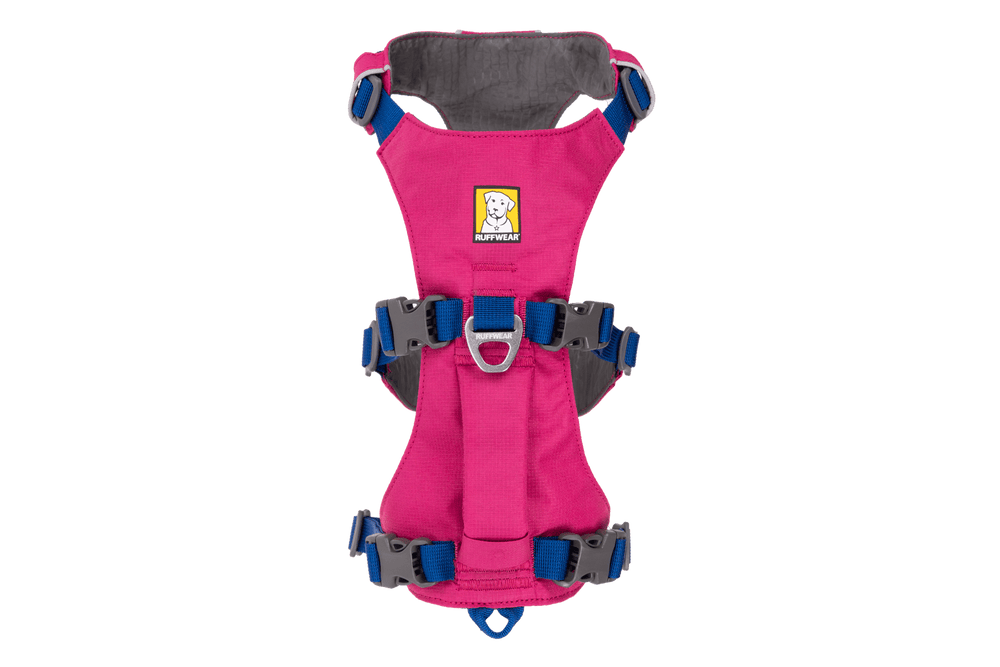 Pinkfarbenes Flagline™ Hundegeschirr mit blauen Akzenten, gepolstertem Rückenbereich und ergonomischem Design für optimalen Komfort.
