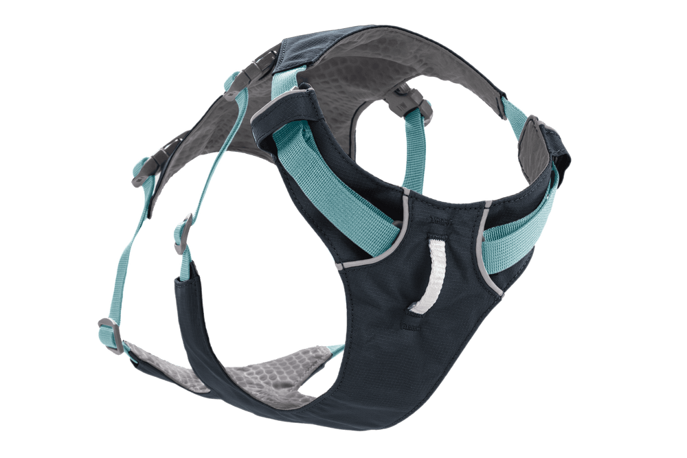 Ergonomisches Flagline™ Hundegeschirr in dunkler Farbe mit hellblauen Akzenten und gepolsterten, verstellbaren Riemen.