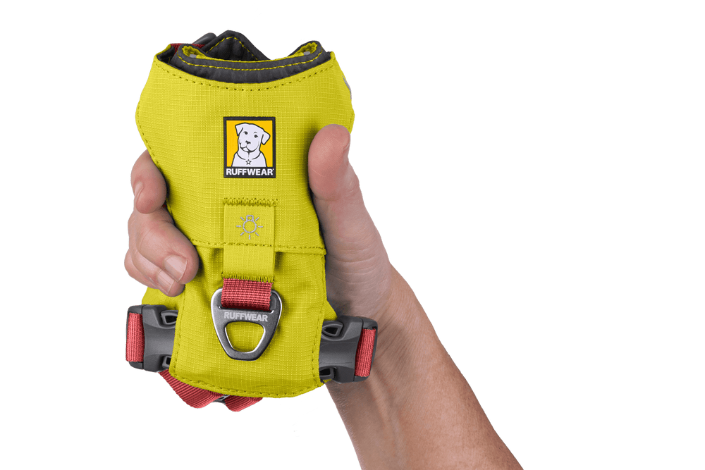 Leuchtend gelbes Hi Light™ Hundegeschirr von Ruffwear mit stabiler Schnalle und D-Ring für die Leine.