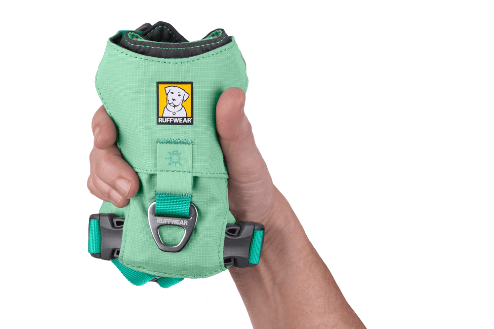 Grünes Hi Light™ Hundegeschirr mit Fettlederverschluss und Karabinerhaken in der Hand gehalten. Strapazierfähiges Material.