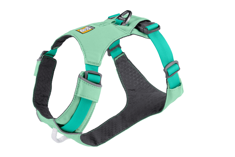 Mintgrünes Hi Light™ Hundegeschirr mit gepolsterten Bereichen und verstellbaren Riemen für optimalen Komfort und Passform.