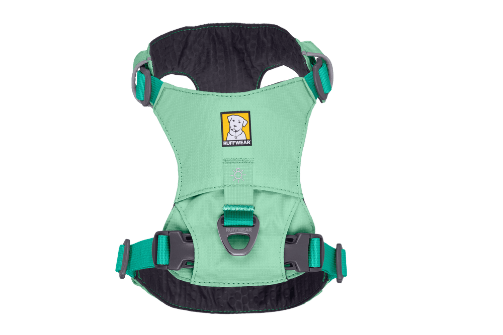 Mintgrünes Hi Light™ Hundegeschirr von Ruffwear mit gepolsterten Riemen und stabiler Schnalle für optimalen Tragekomfort.