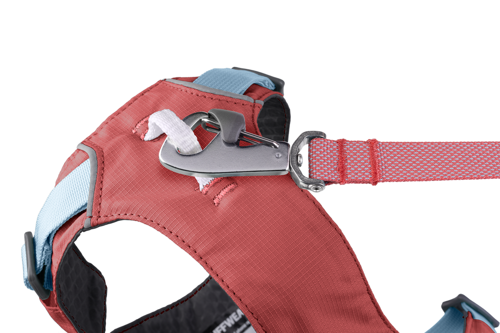 "Rot-blaues Hi Light™ Hundegeschirr mit robustem Material und Karabinerhaken für sichere Leinenbefestigung."