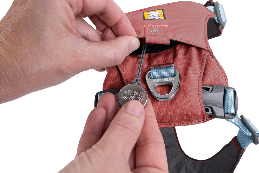 Hand, die ID-Schild am roten Hi Light™ Hundegeschirr mit blauen Akzenten von Ruffwear befestigt.