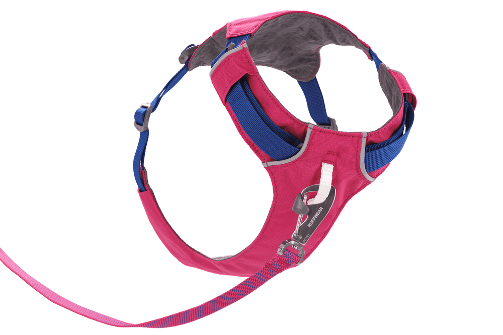Pinkes Hi Light™ Hundegeschirr mit grauen und blauen Akzenten, gepolstert für Komfort, mit Karabinerhakenverschluss.